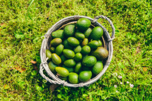 guac recipe, guacamole at home, beach burrito company